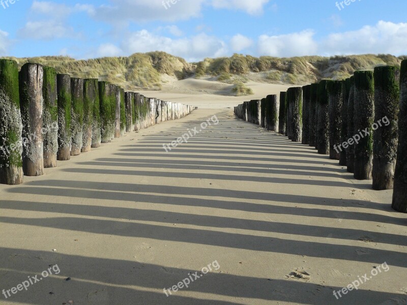 Sea Beach Poles Coast Zealand