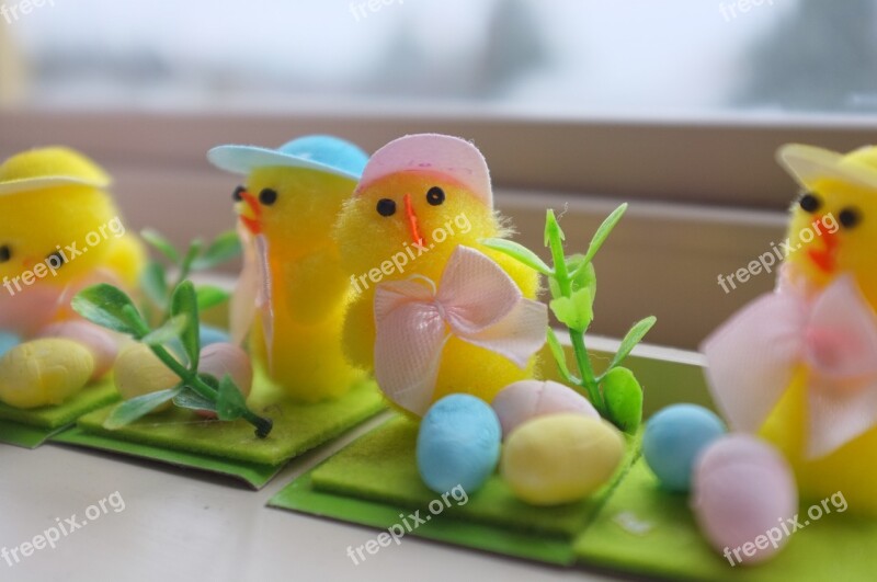 Easter Chick Egg Spring Holiday