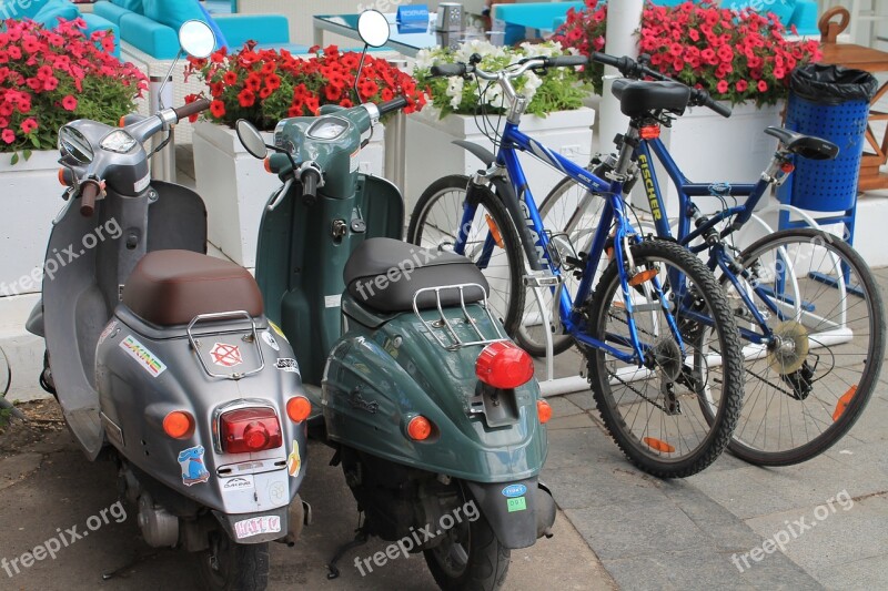 Moped Mopeds Bike Bicycles Flowers