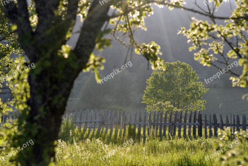 Countryside Landscape Rural Summer Sunlight