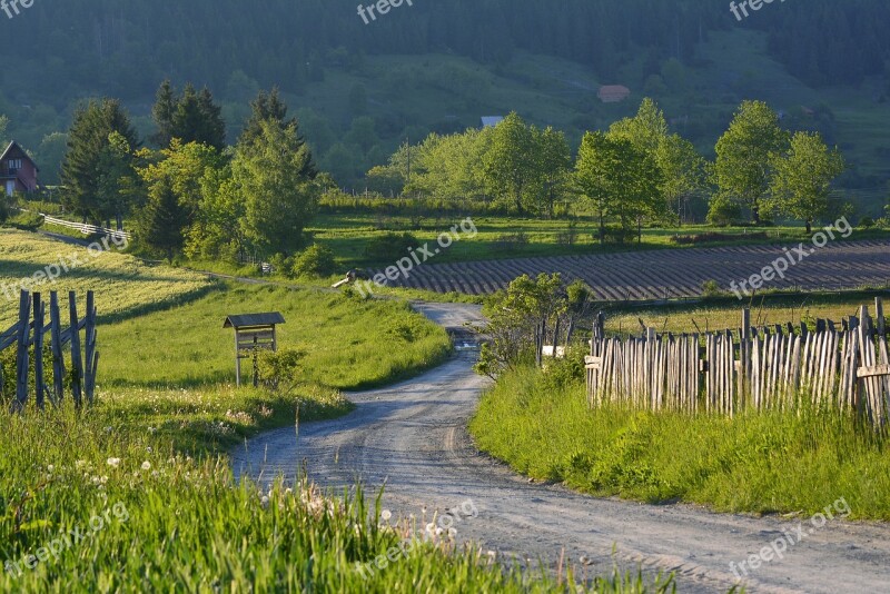 Countryside Landscape Rural Summer Sunlight