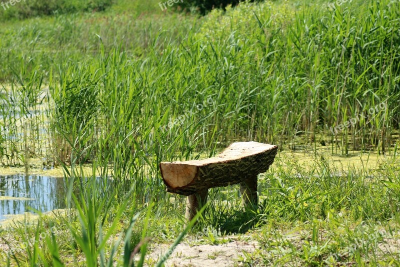 Pond Over The Water Bench Nature View