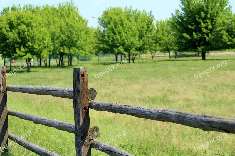 Landscape Nature Spring Green Fencing