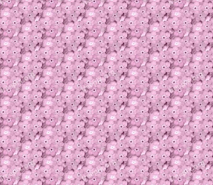 Texture Flower Background Pink Seamless Pattern