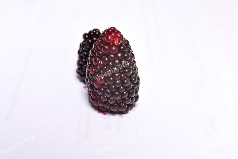 Mora Fruit Fresh Free Photos