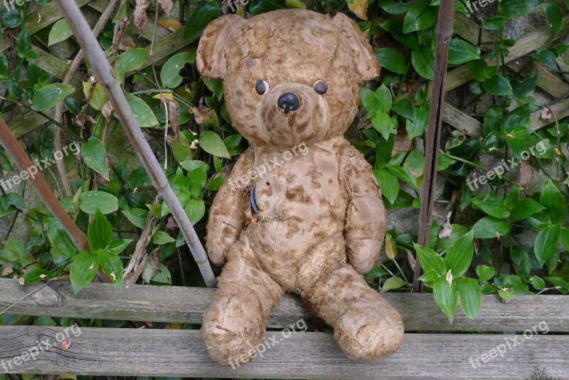 Teddy Bear Old Teddy Bear Bear Plush Bear Garden