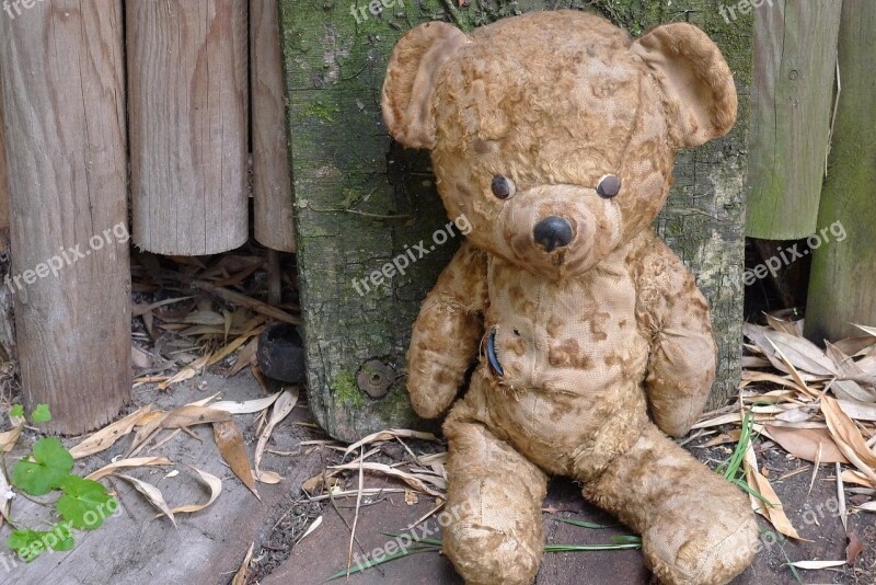 Teddy Bear Old Teddy Bear Bear Plush Bear Garden