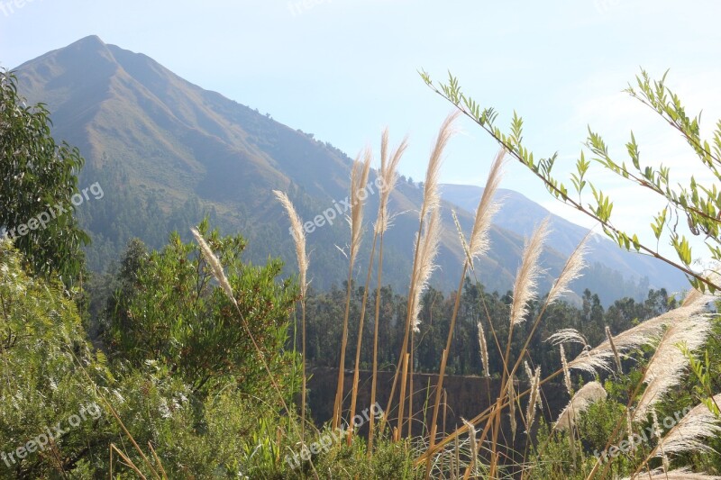 Mountain Green Landscape Valley Nature