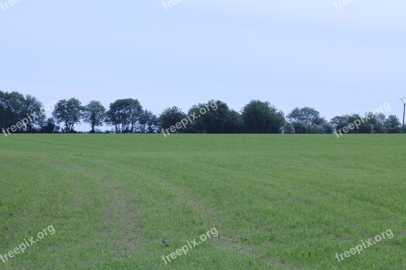 Prairie Scope Landscape Horizon Free Photos