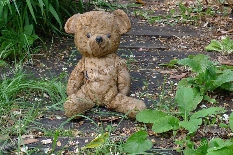 Teddy Bear Old Teddy Bear Bear Plush Bear Garden