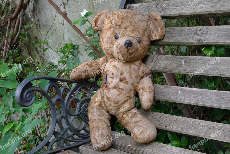 Teddy Bear Old Teddy Bear Bear Plush Bear Garden