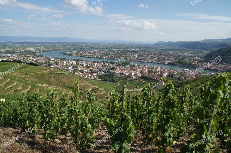 Vine Tain L'hermitage Drôme River Free Photos