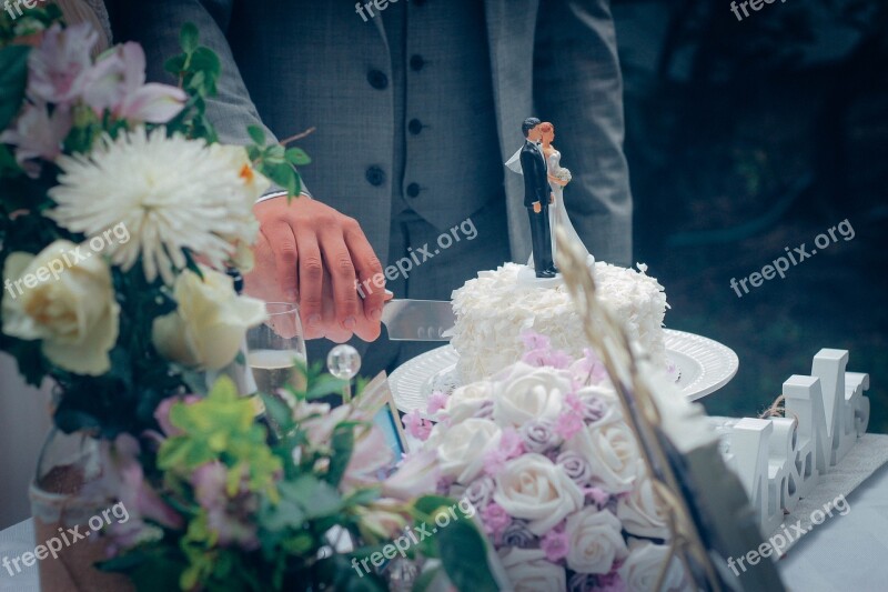 Wedding Wedding Cake Cutting The Cake Cutting The Wedding Cake Love