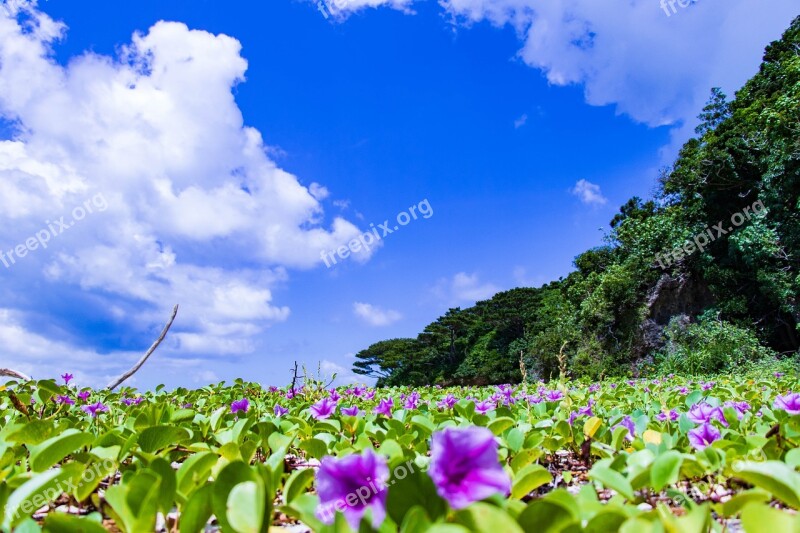 Ishigaki Okinawa Sea Landscape Summer