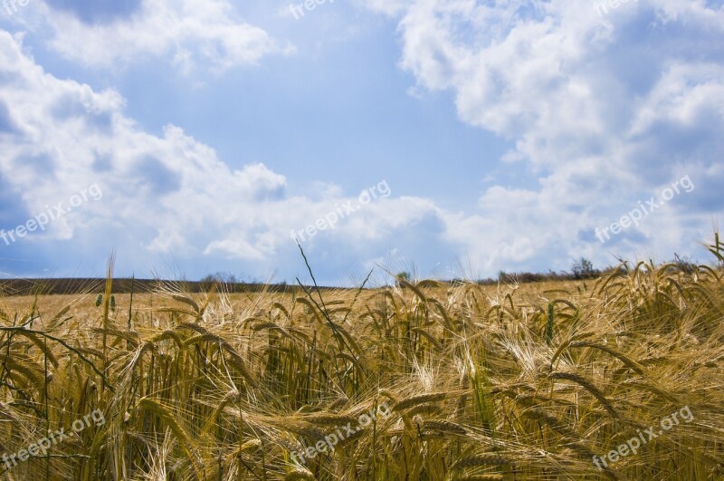 Nature Landscape Natural Turkey Landscapes Nature Landscape Nature