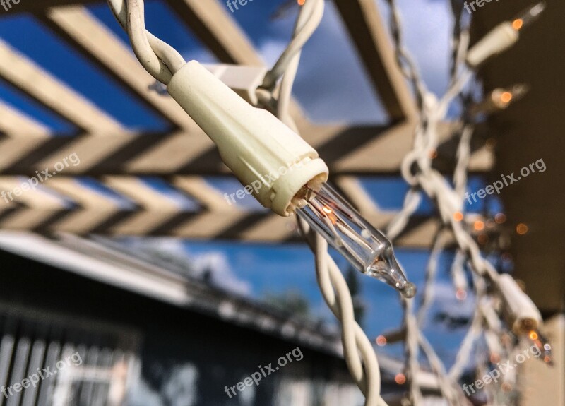 Christmas Light Bulb Christmas Christmas Lights Holiday