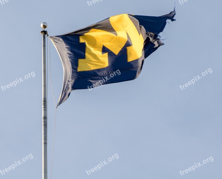 Flag Sports Michigan Team Banner