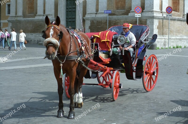 Horse Chariot Traffic City Roma