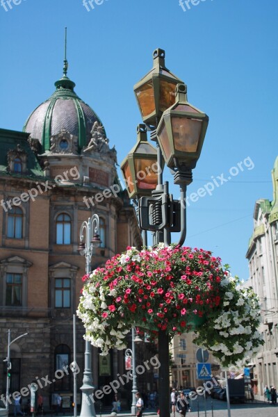 Flowers Lantern Street Lamp Spring Architecture