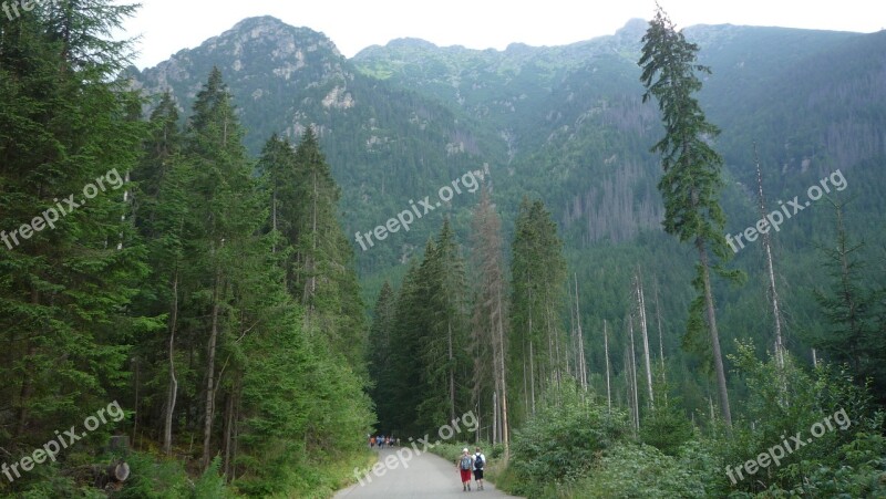 Poland Tatry Mountains Landscape Nature