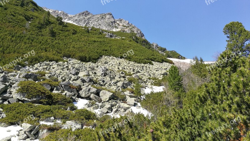 Vysoké Tatry Nature Tatry Country Slovakia