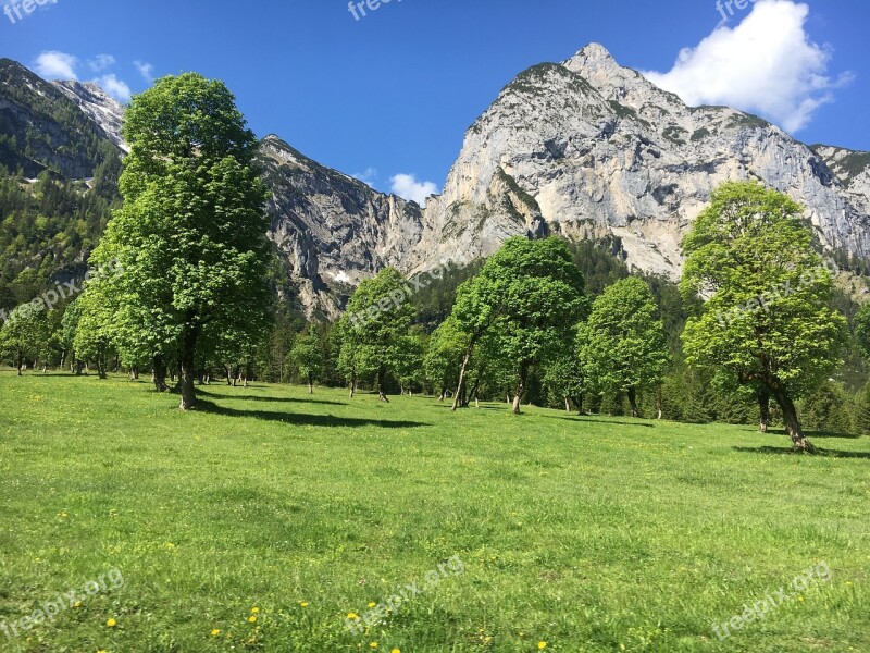 Maple Forest Valley Austria Eng