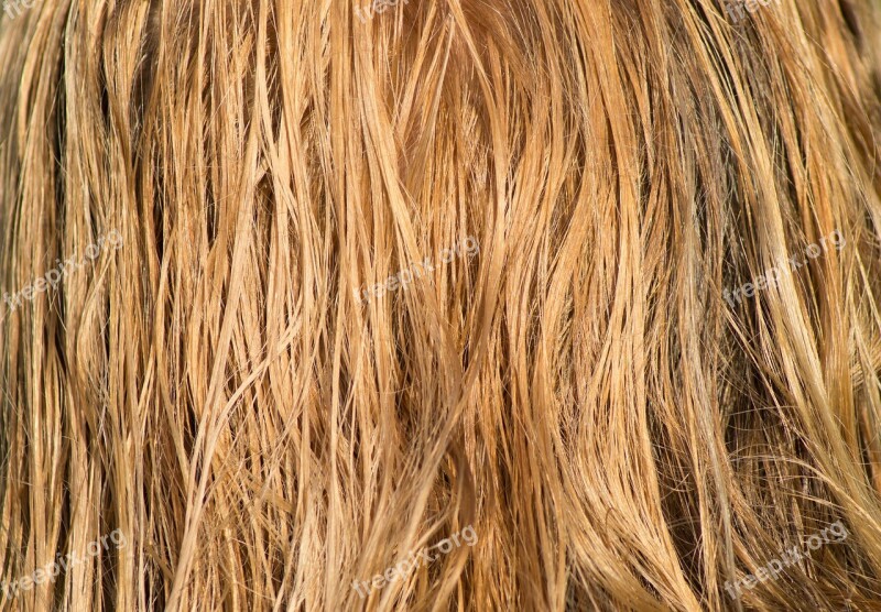 Hair Blond Wet Combed Long Hair