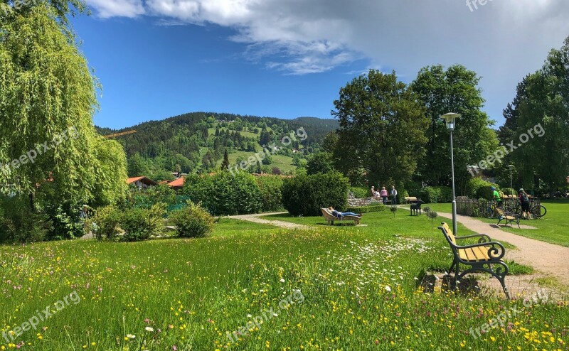 Schliersee Bavaria Nature Landscape Sky