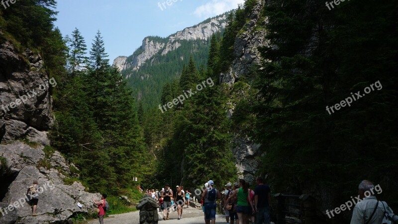 Poland Tatry Mountains Landscape Nature