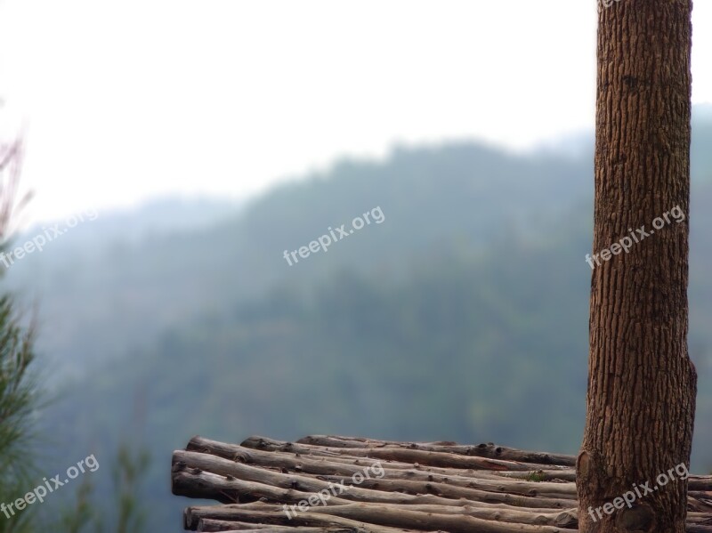 Nature Mountains Tree Wood Potrait