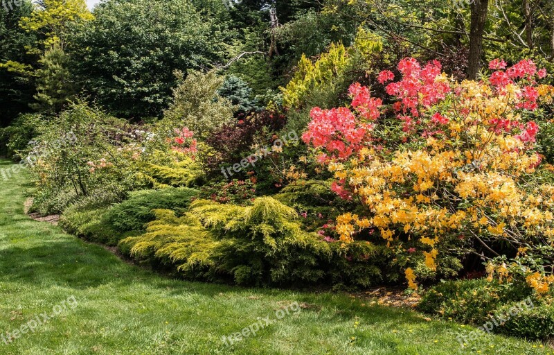 Springs Best Show Garden Backyard Horticulture Arboretum