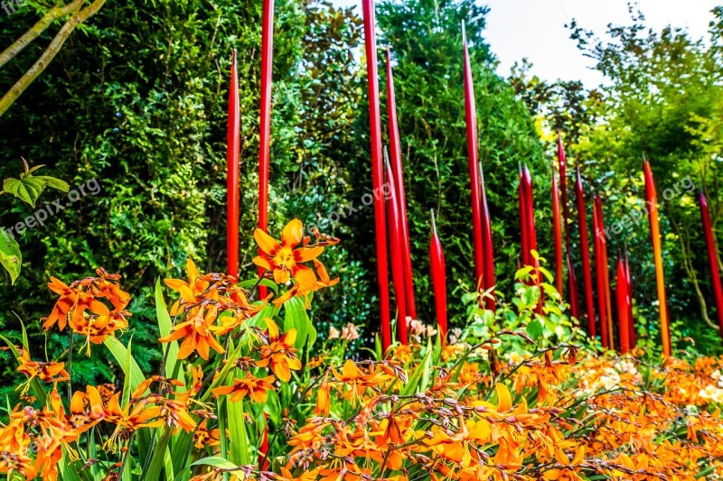 Chihuly Glass Tourism Colorful Creative