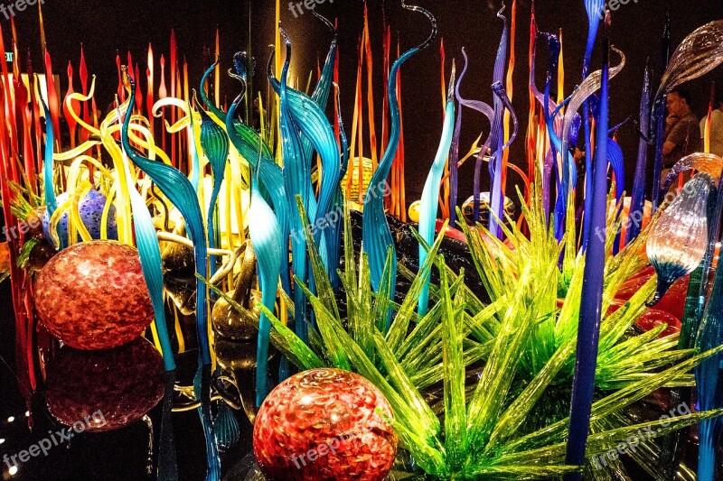 Chihuly Glass Tourism Colorful Creative