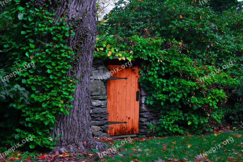 Door Rustic Vines Hinges Free Photos