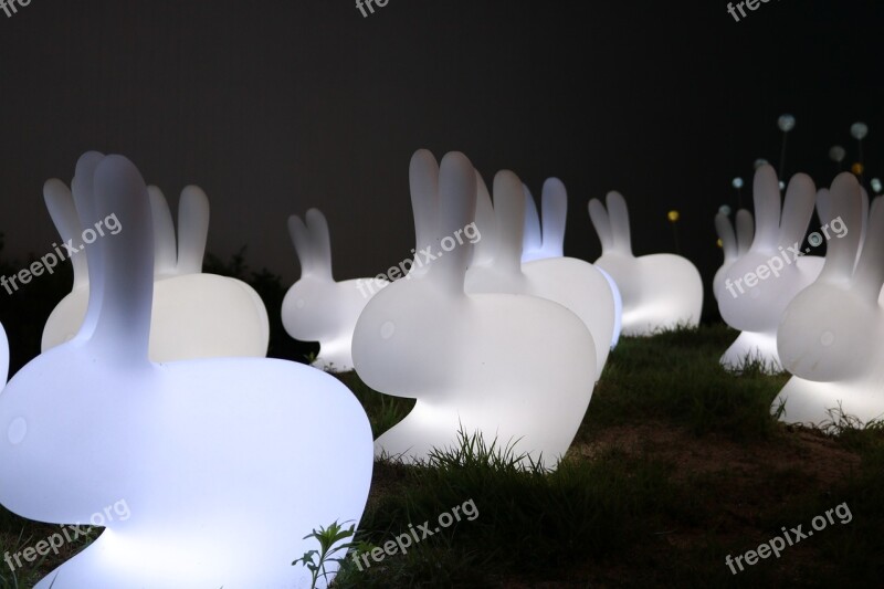 Rabbit Night-time Free Photos