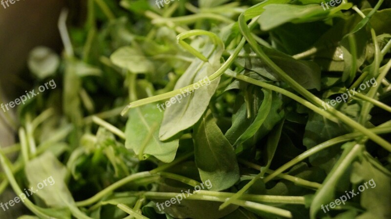 Rocket Salad Pizza Fresh Market