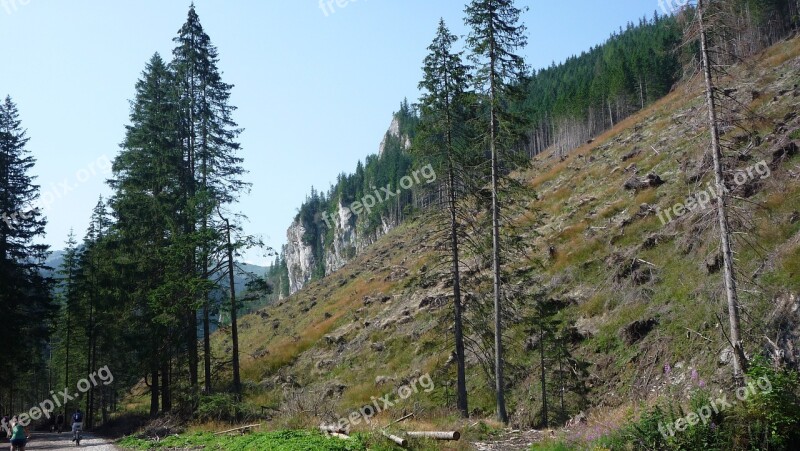 Tatry Poland Mountains Landscape Nature