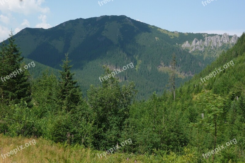 Tatry Poland Mountains Landscape Nature