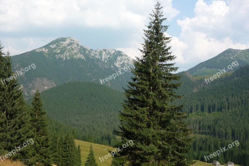 Tatry Poland Mountains Landscape Nature