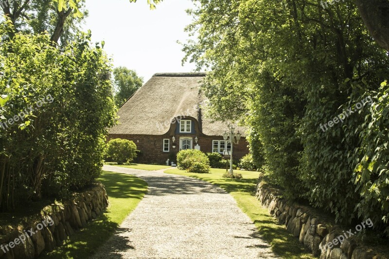 Thatched Cottage Summer North Sea Nordfriesland Vacations