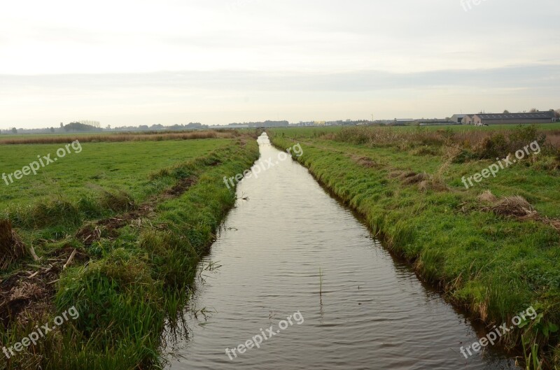 Ditch Nature Reserve The Birch Free Photos