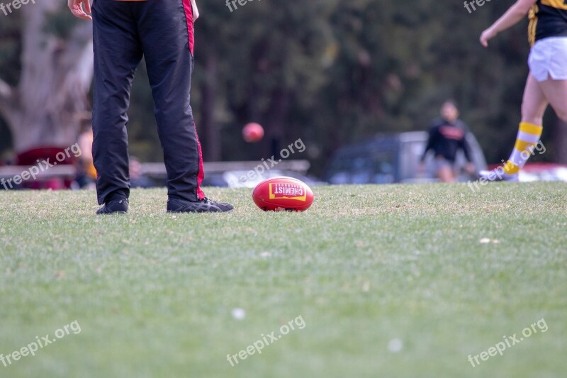 Afl Football Afl Ball Footie Australian