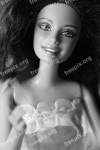 Barbie Doll Beauty Hairstyle Portrait