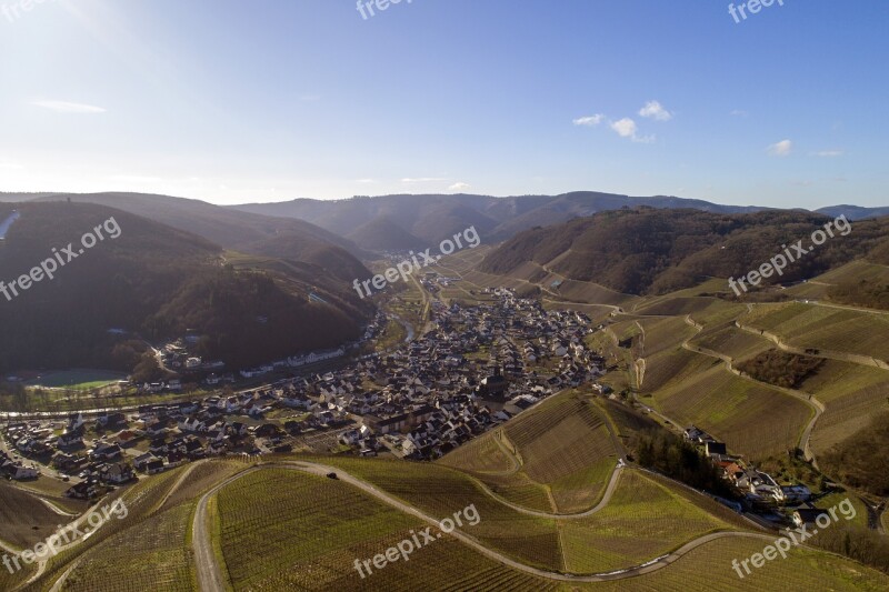 Vineyard Dernau Wine Ahr Valley Germany