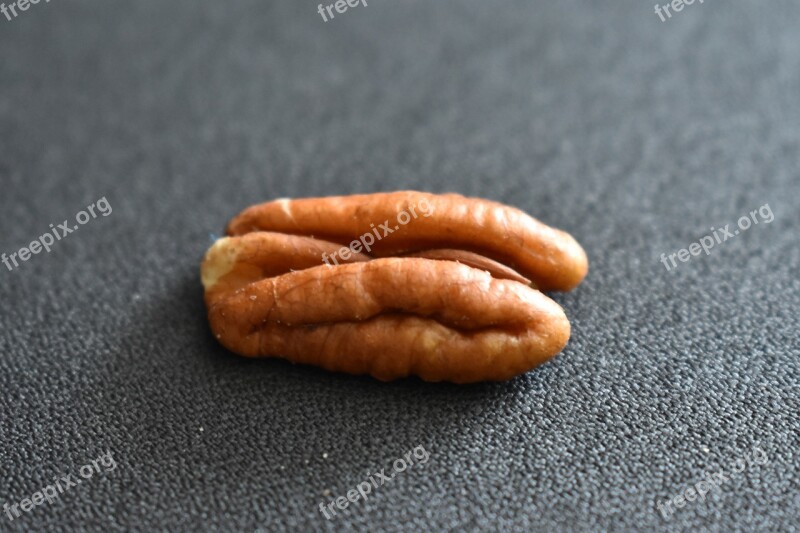 Nut Walnut Free Photos