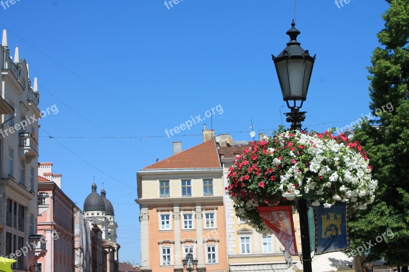 Lantern Street Lamp Flowers Architecture Sky