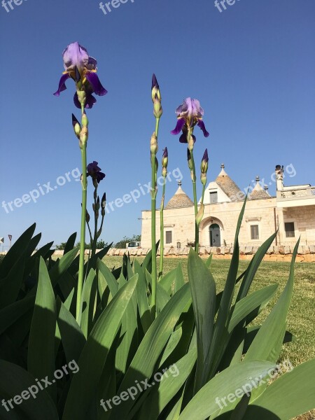 Trullo House Puglia Italy Trulli