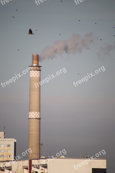 Chimney Smoke Crow Dig Heat And Power Plant