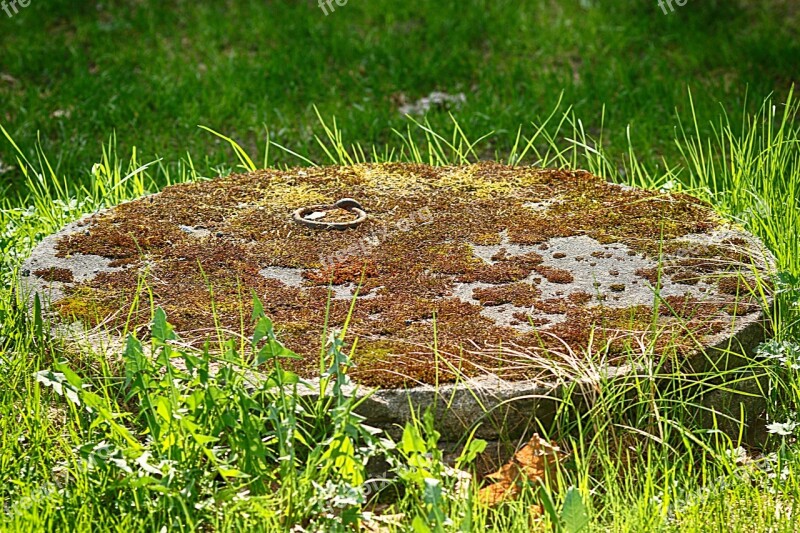 Manhole Covers Outdoors Grass Free Photos