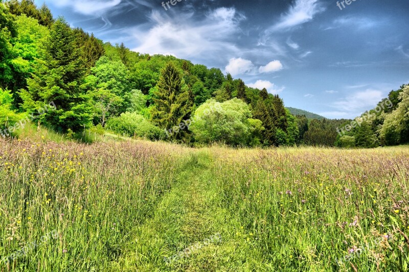 Green Landscape Nature Mood Clouds